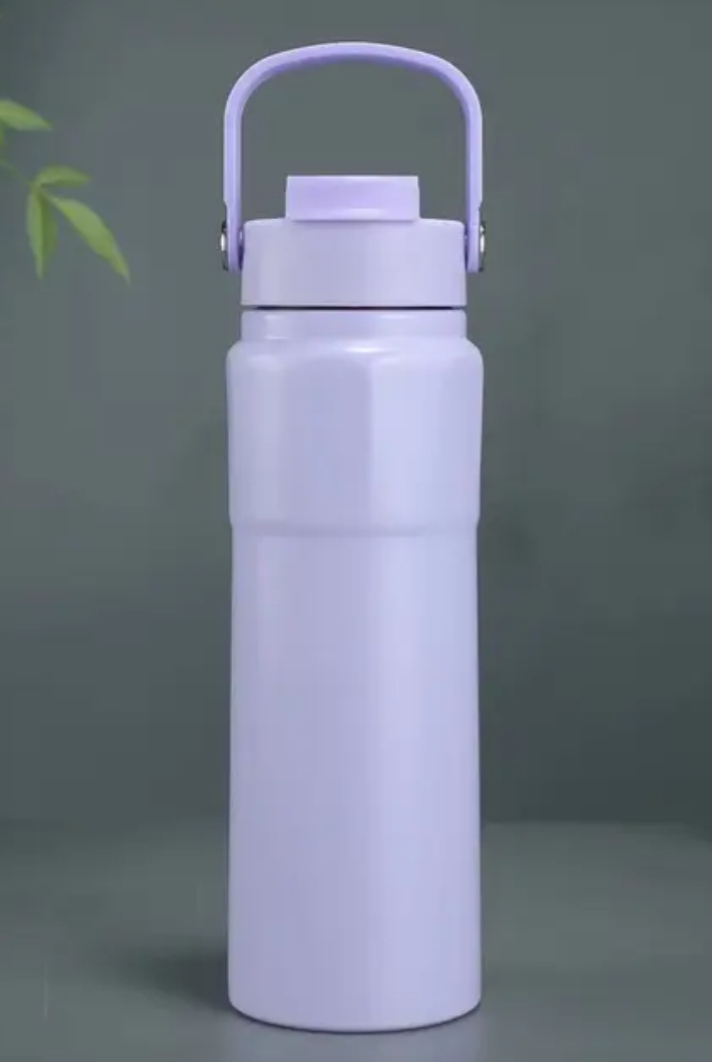 Stainless Steel Vacuum Insulated Water Bottle with Carry Handle 911027