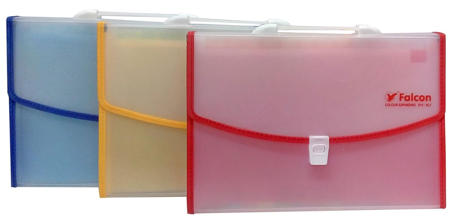 A4 Expanding File Folder with Handle & Snap Closure, Translucent Plastic Document Organizer, Portable File Storage Case for Office, School & Documents
